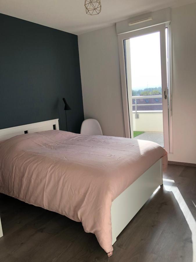 La Terrasse Apartment Strasbourg Ngoại thất bức ảnh