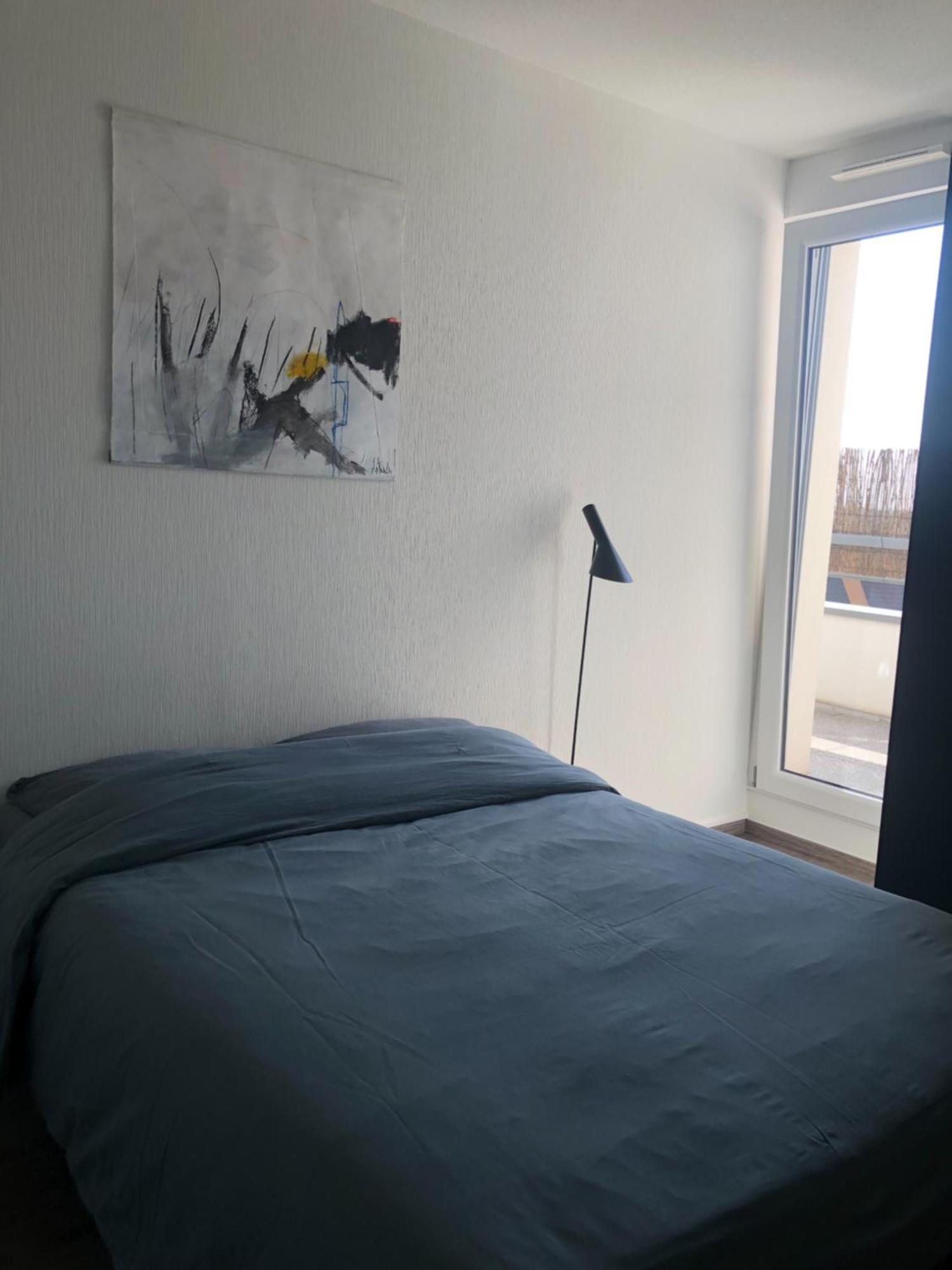 La Terrasse Apartment Strasbourg Ngoại thất bức ảnh