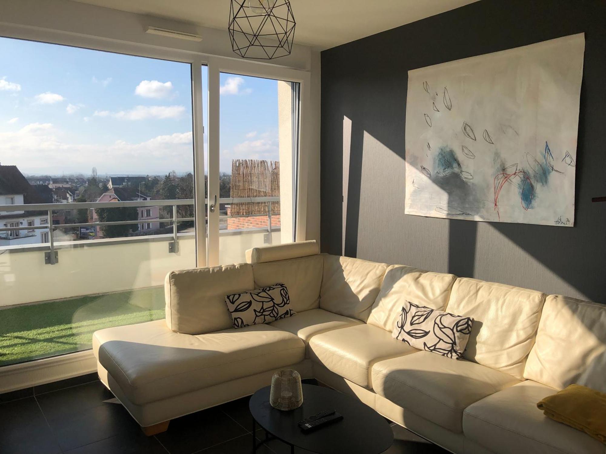 La Terrasse Apartment Strasbourg Ngoại thất bức ảnh
